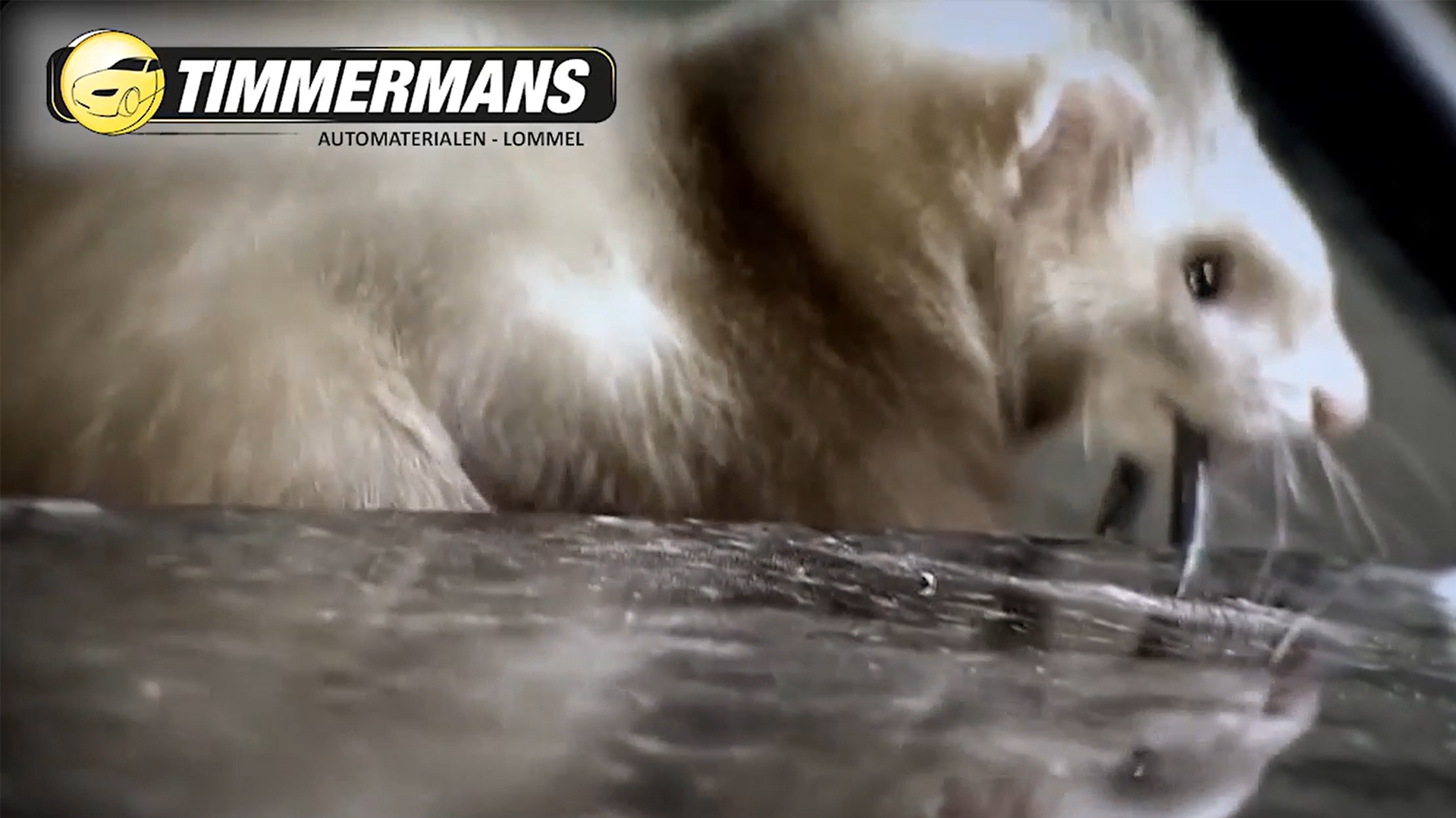 Speel distributeur promotievideo af - Klik om video te starten